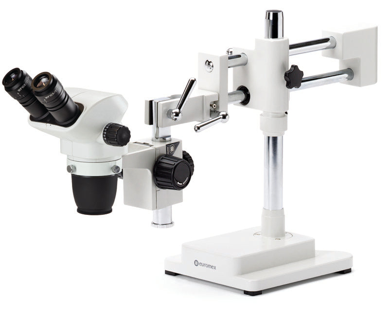Estereomicroscopio Binocular NZ.1702-B - www.letscopes.com