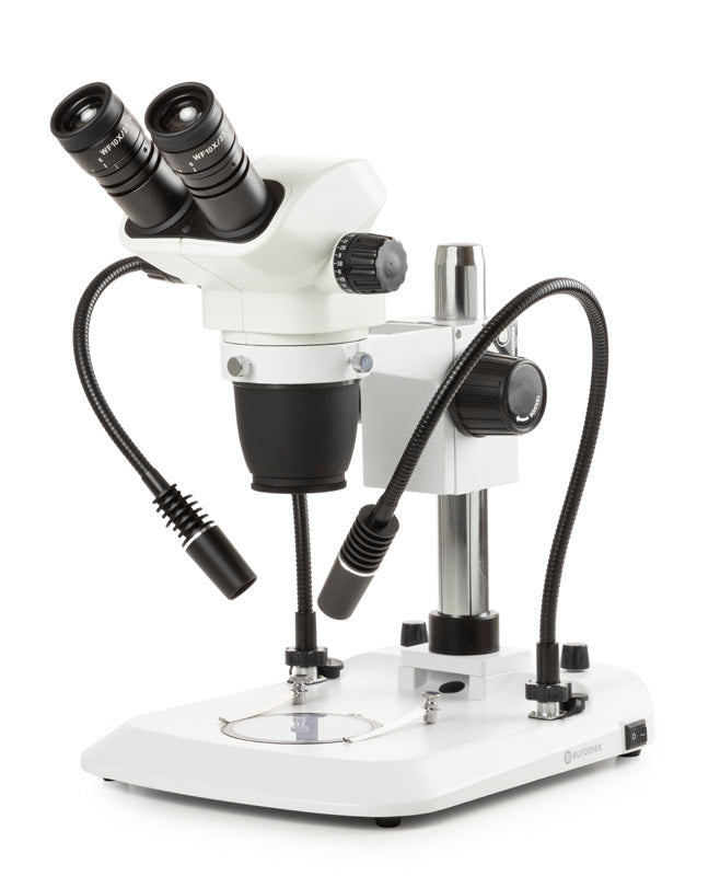 Estereomicroscopio Binocular NZ.1702-PG - www.letscopes.com