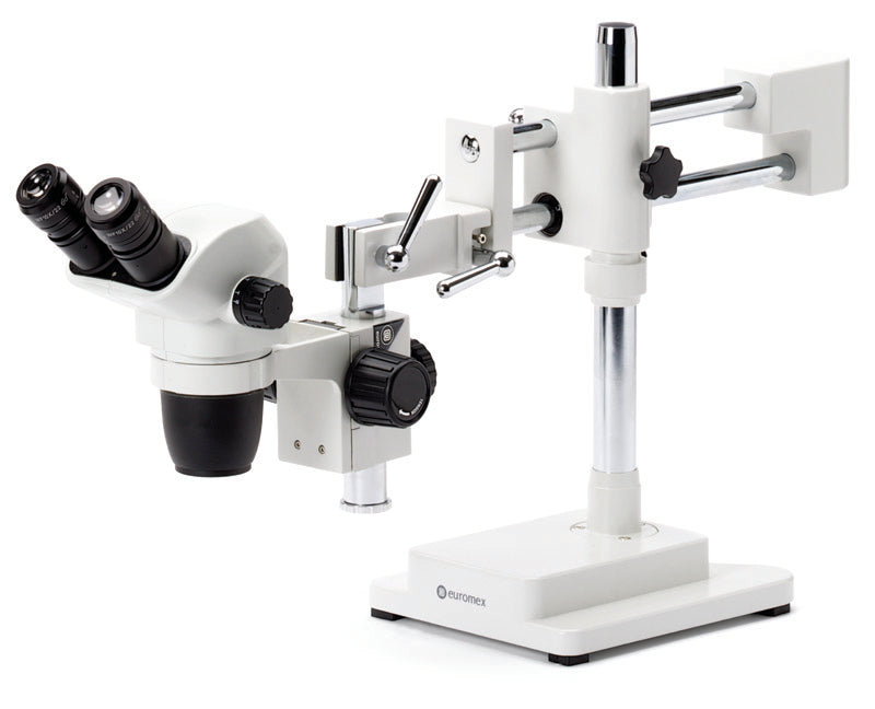 Estereomicroscopio Binocular NZ.1902-B - www.letscopes.com