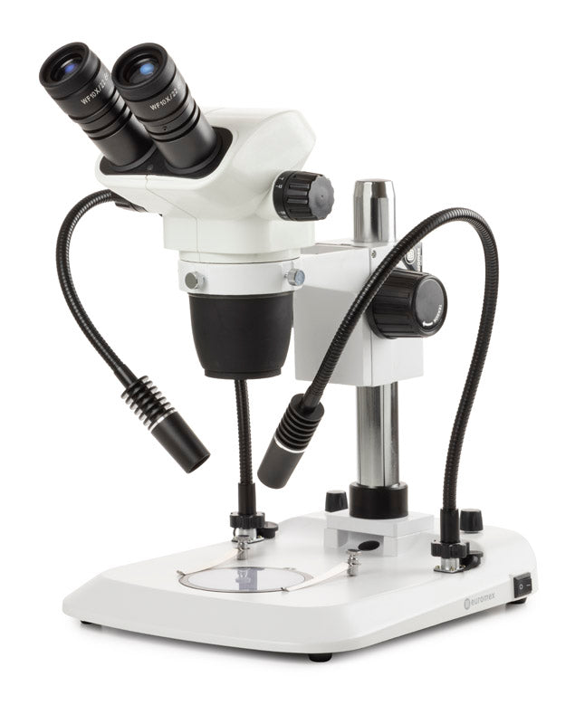 Estereomicroscopio Binocular NZ.1902-PG - www.letscopes.com