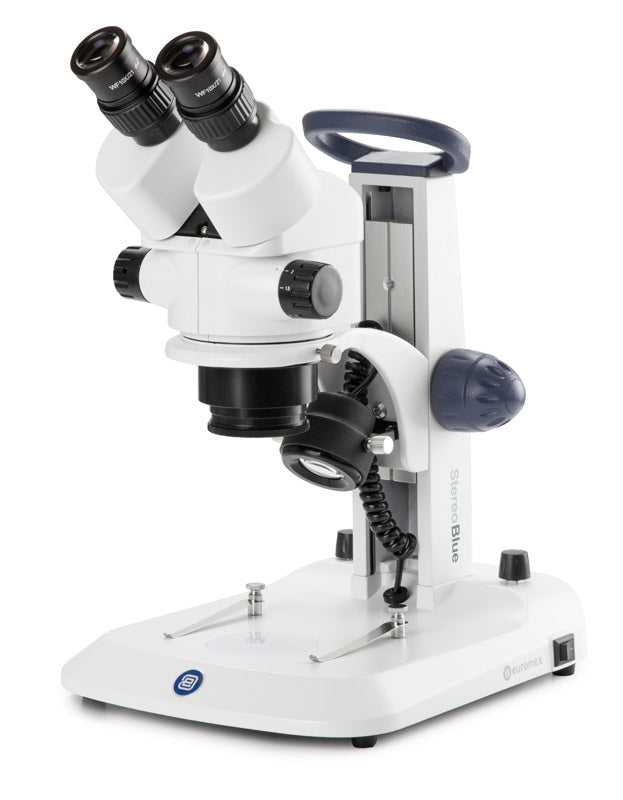Estereomicroscopio Binocular SB.1902 - www.letscopes.com