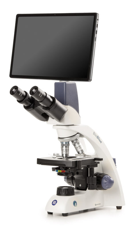 BioBlue binocular microscope BB.4269-T - www.letscopes.com