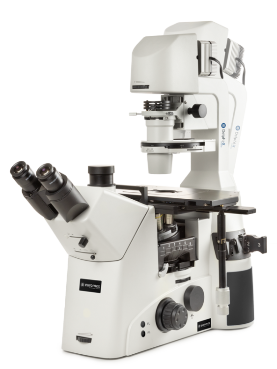 Microscopio Trinocular invertido Delphi-X Inverso DI.1053-PLPHFi - www.letscopes.com