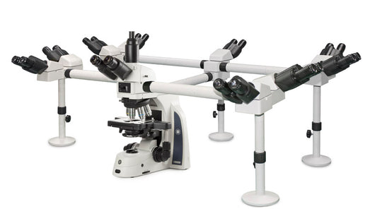 Delphi-X Observer multi-head microscope for 10 observers DX.1156-PLi/10 - www.letscopes.com