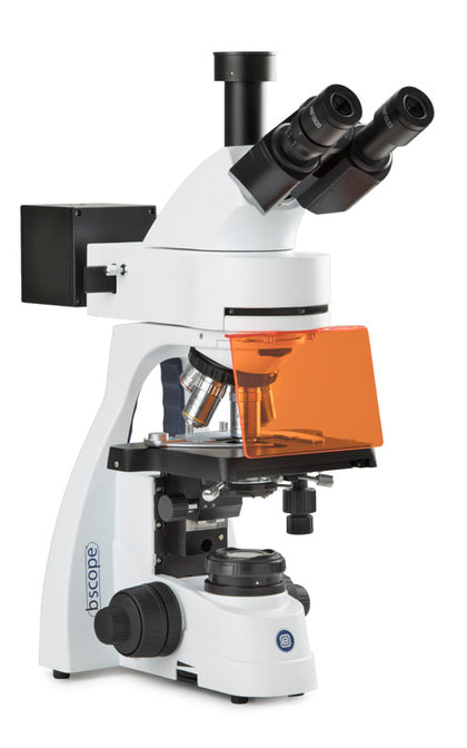 Microscopio trinoculare BS.3153-PLi/HBO
