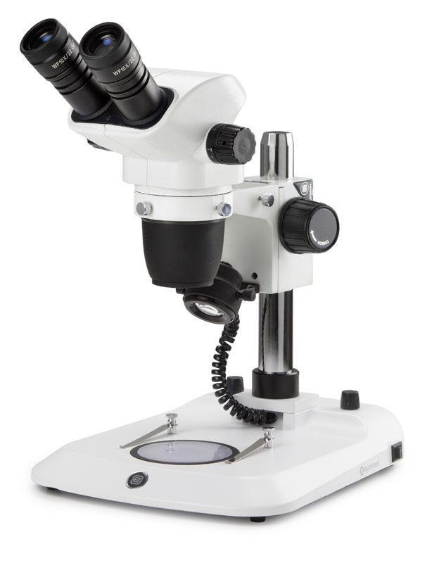 Estereomicroscopio Binocular  NZ.1902-P - www.letscopes.com