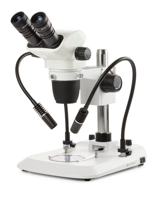 Estereomicroscopio Binocular  NZ.1902-PG - www.letscopes.com