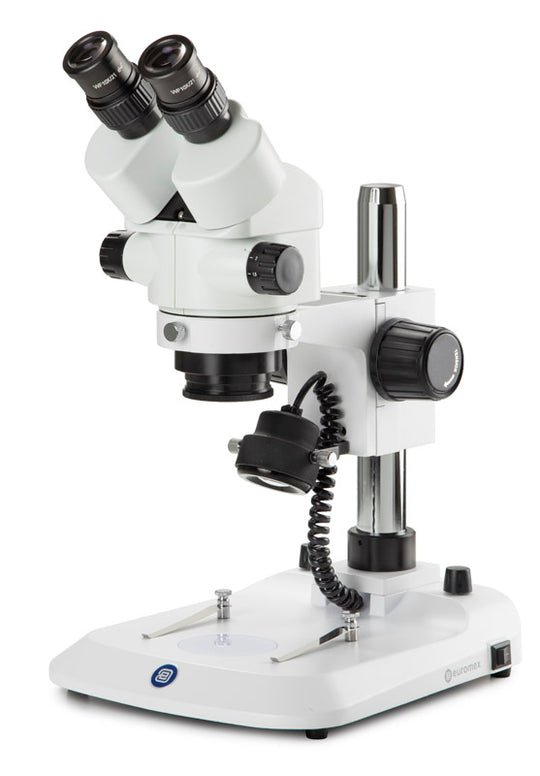 Estereomicroscopio Binocular  SB.1902-P - www.letscopes.com